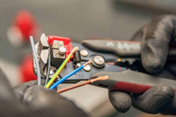 Best Electrical Upgrades for Homes  in Fruit Cove, FL