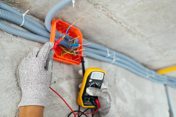 Best Electric Panel Repair  in Fruit Cove, FL